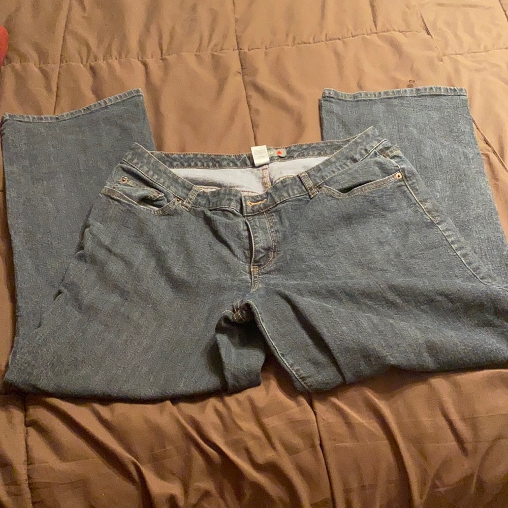 Lane Bryant Jeans brand Venezia